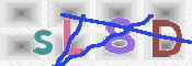 キャプチャ画像