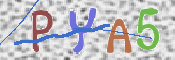 キャプチャ画像